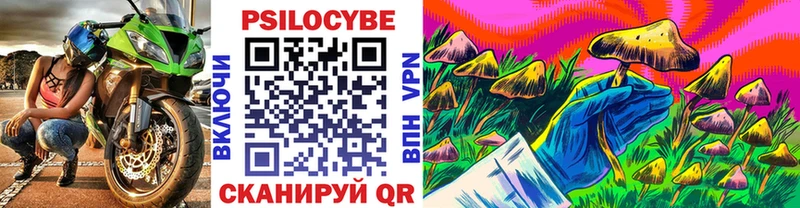 Галлюциногенные грибы ЛСД Купить закладки Шацк